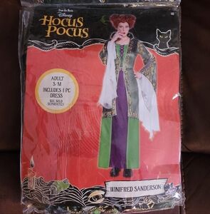 Disney Hocus Pocus Winifred Sanderson Asymmetrical Dress - Green and Purple